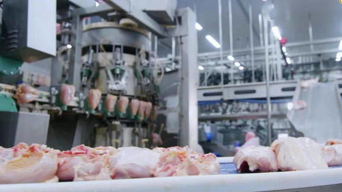 江西圣農 深延產業鏈，鍛造肉制品加工行業新龍頭